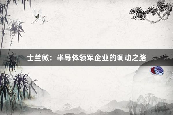 士兰微：半导体领军企业的调动之路
