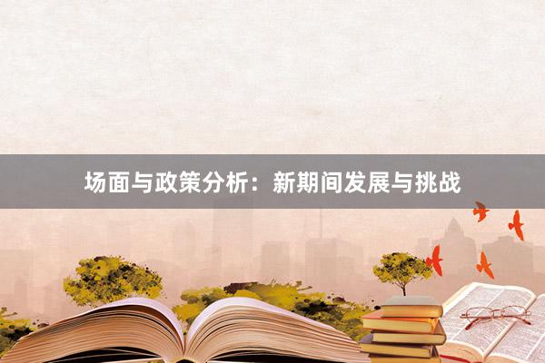 场面与政策分析：新期间发展与挑战