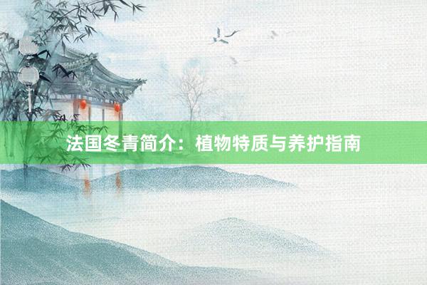 法国冬青简介：植物特质与养护指南